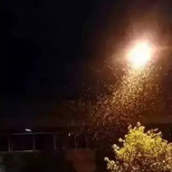 白蟻危害大，4-6月份進入其活躍期 防治白蟻不容忽視！